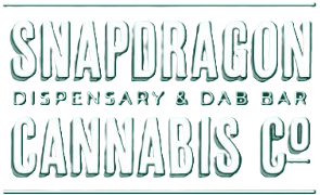Snapdragon Wordmark